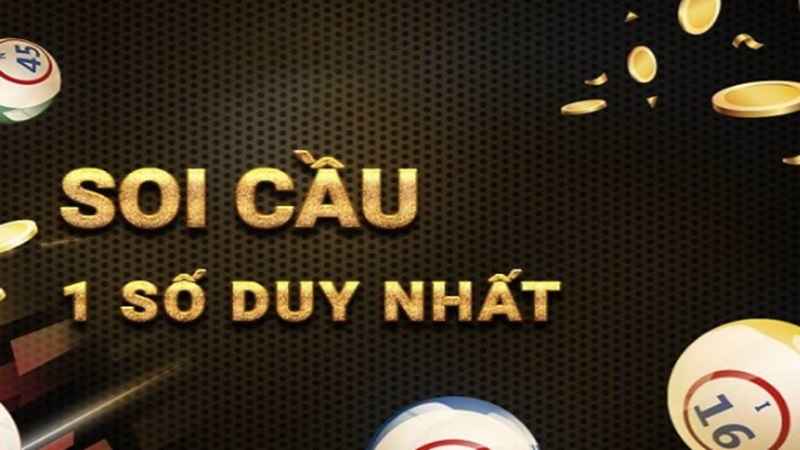 soi-cau-1-so-duy-nhat-1