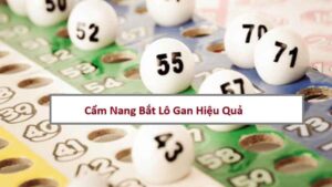 Cẩm Nang Bắt Lô Gan Chuyên Sâu: Nhận Diện Và Quản Lý Vốn