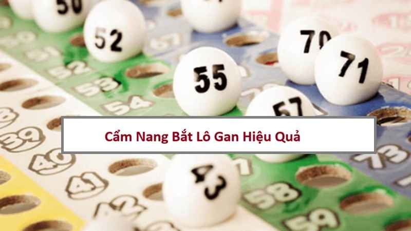 Cẩm Nang Bắt Lô Gan Chuyên Sâu: Nhận Diện Và Quản Lý Vốn
