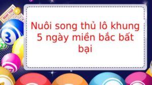 Nuôi Song Thủ Lô Khung 5 Ngày